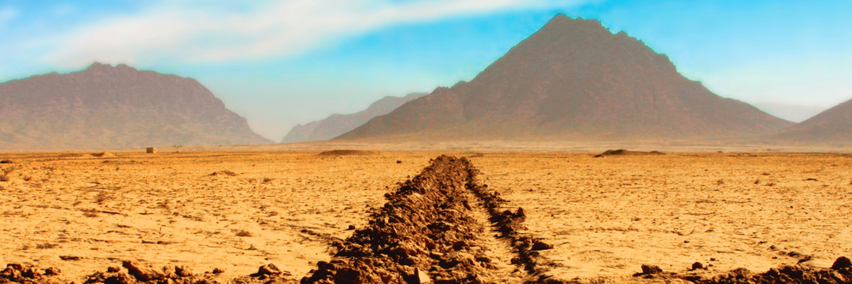 Header Image