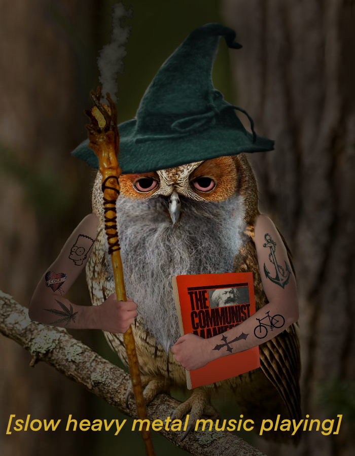 A dark photoshopped image of an owl. The owl has human arms covered in crappy tattoos, and is wearing a wizard hat, holding a smoking wizard staff, and clutching a copy of the communist manifesto. The image is captioned “slow heavy metal music playing”. The owl has a large gray beard and half-closed bloodshot eyes.