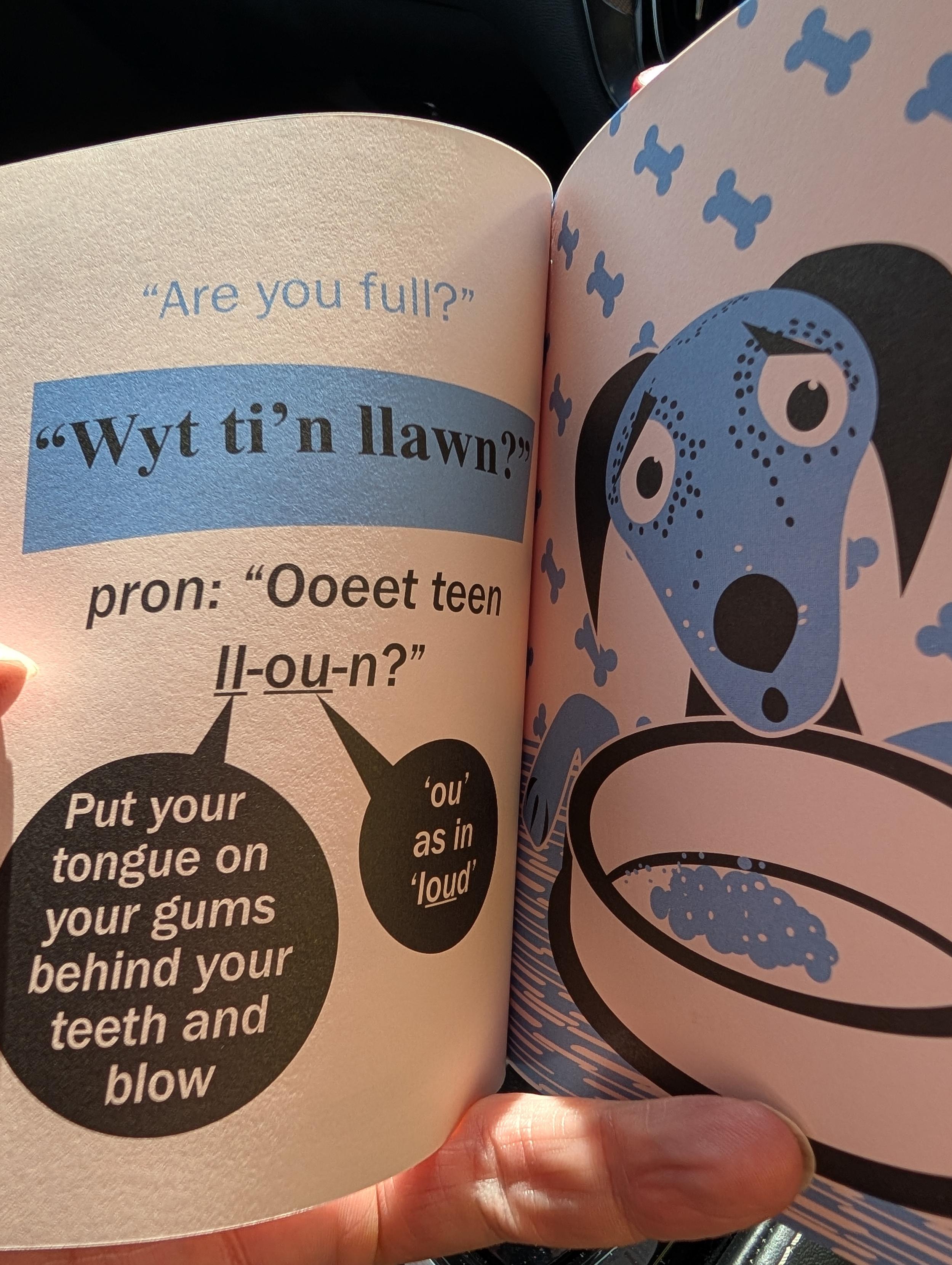Translation for "are you full?"