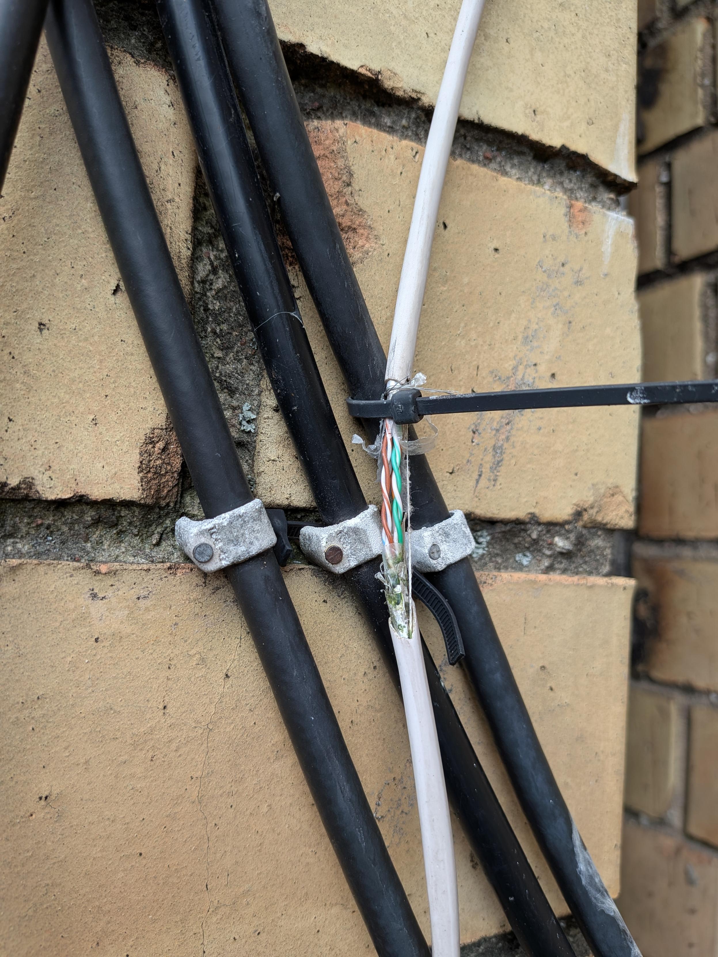 Photo of three black cables (of unknown type) nailed/stapled to an outdoor wall, and a white Ethernet cable ziptied to one of them. All outer layers of the Ethernet cable (including the metallic shield and the plastic foil underneath) are completely gone around where the zip tie is holding it, creating a gap of three or so centimeters (bit over an inch) of *nothing* more but the twisted-pair wires and a single surviving strand of the ripcord holding onto it.